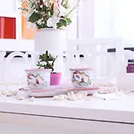 Anchor And Rose Daire Salerno