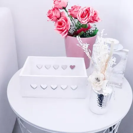 Anchor And Rose *